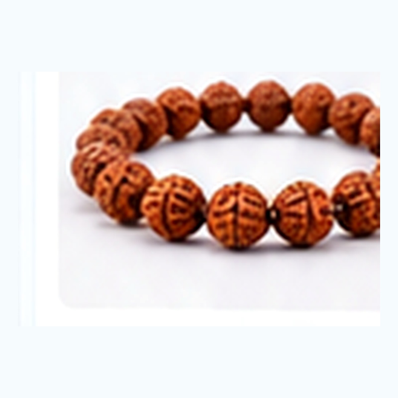 Rudraksha Bracelet (Silver Casing)