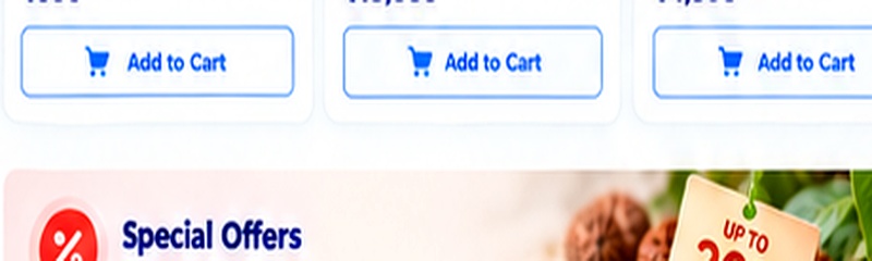Special Offers